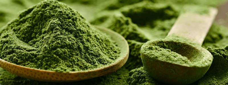 Chlorella