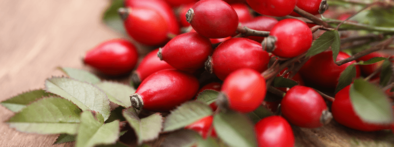 Rosehip Oil