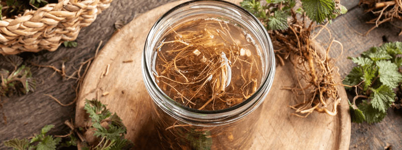 Stinging Nettle Root Extract